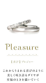 �v���W���[