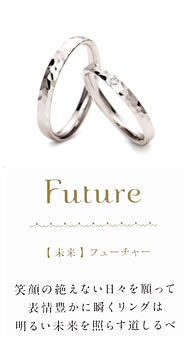 �t���[�`���[